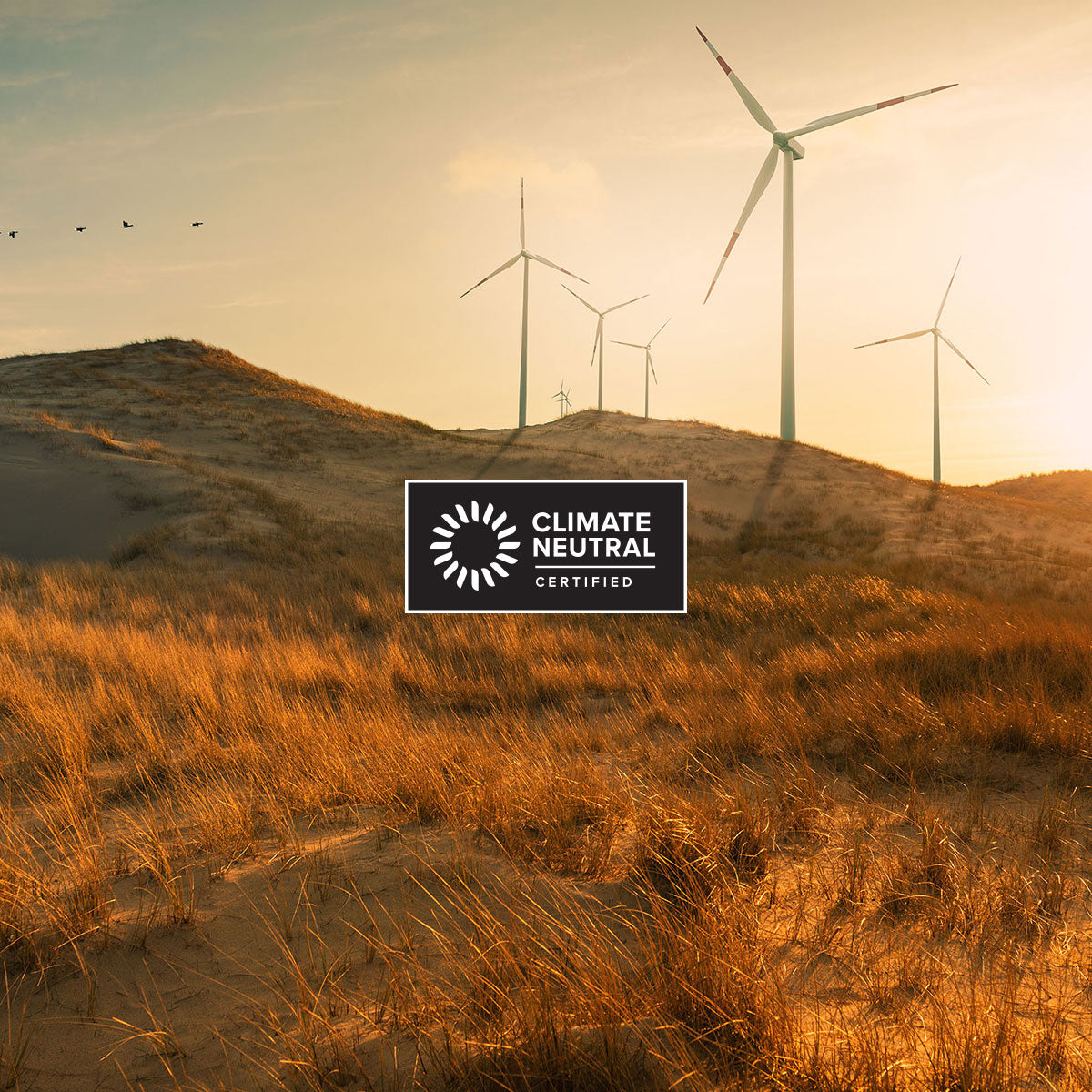 Climate Neutral Certified