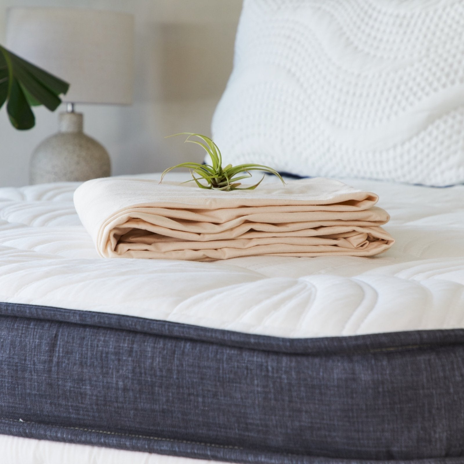 Comfort & Functionality