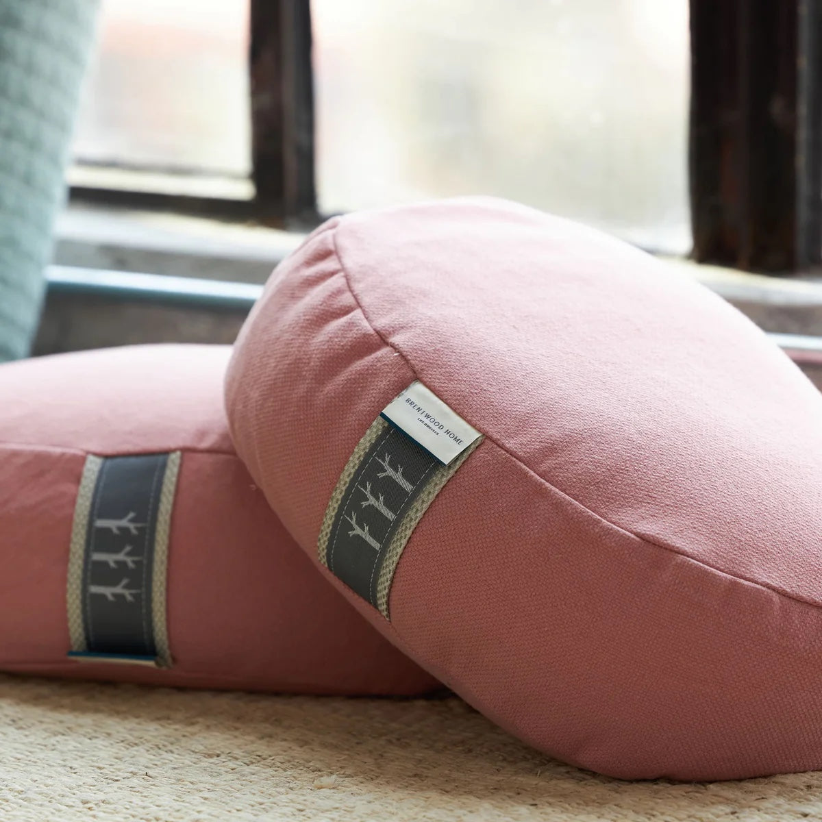 New Limited Edition Color