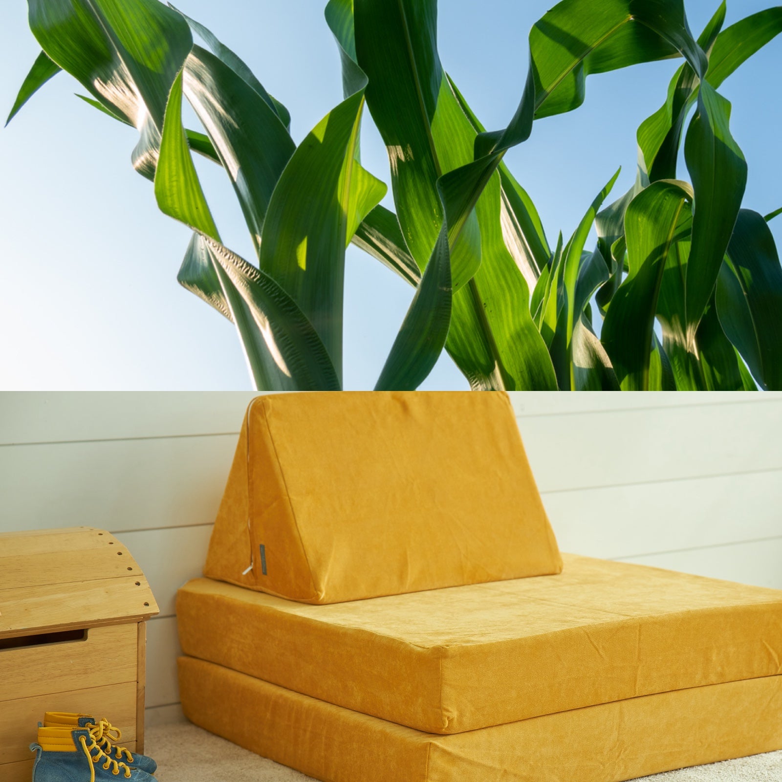 High-Density Foams Made with BioFoam®