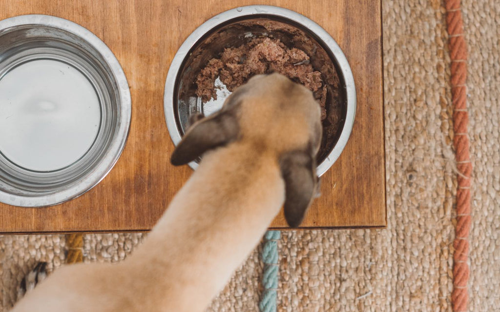 DIY Dog Food, Homemade Dog Food, Homemade Dog Food Recipe, Brentwood Home