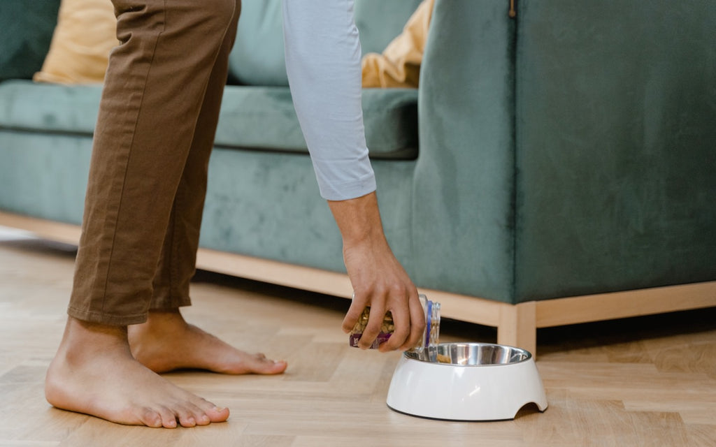 DIY Dog Food, Homemade Dog Food, Homemade Dog Food Recipe, Brentwood Home