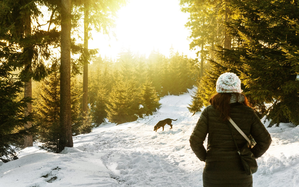 Winter Blues, Brentwood Home, Snow, Winter Landscape